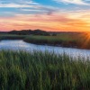 a river with grass and trees